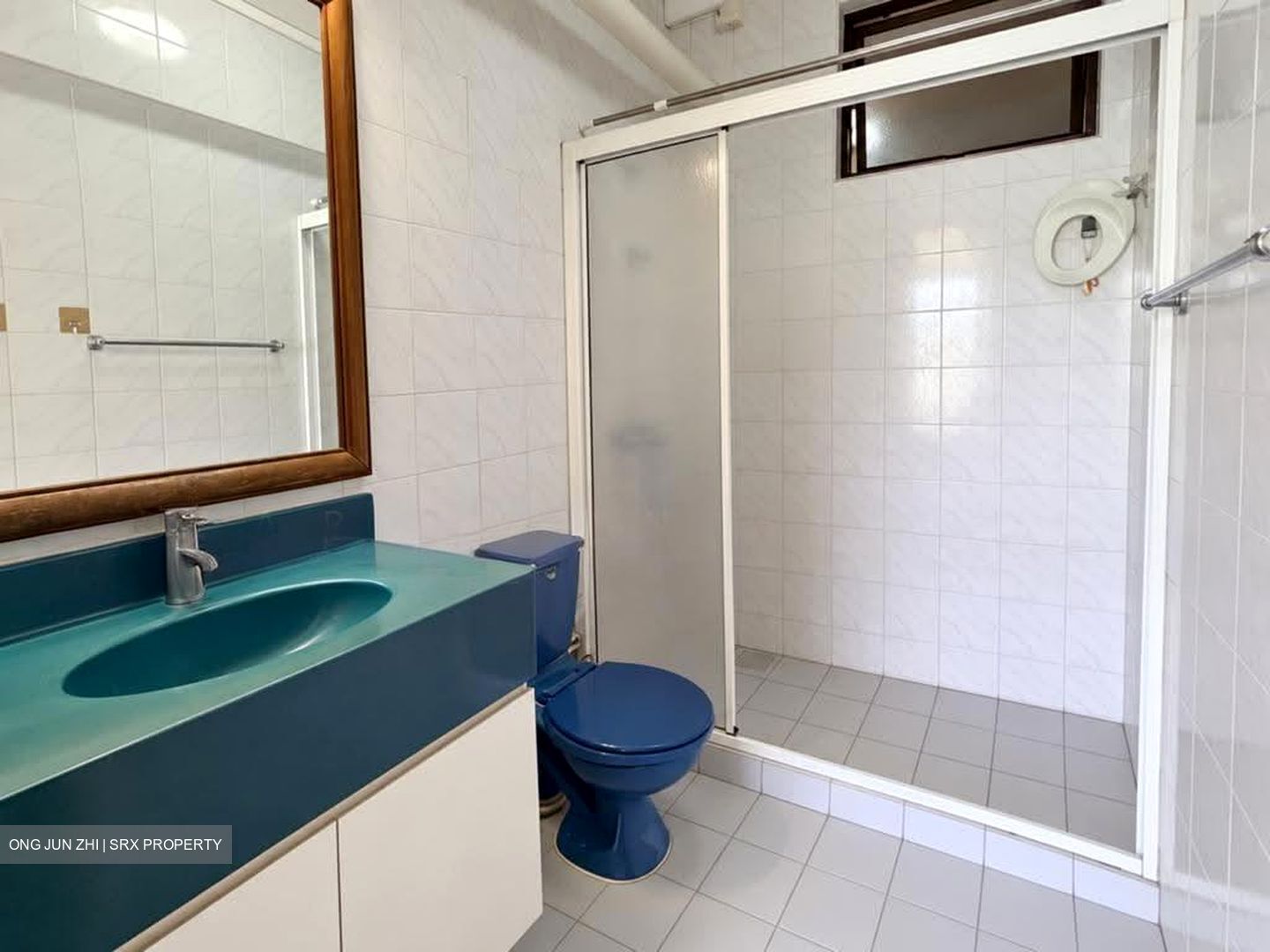 Blk 288A Nature View (Bukit Batok), HDB Executive #628709761